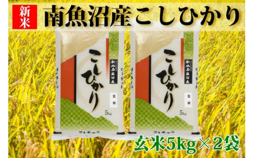 令和5年産 新米】南魚沼産コシヒカリ「Sun](玄米5×2袋)を全12回 - 新潟