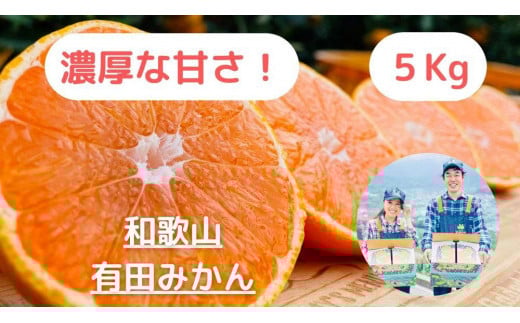 ya̎RLc쒬zy_ƒzZȊÂ݂̑5kg/yI݂ẑ݂݂_