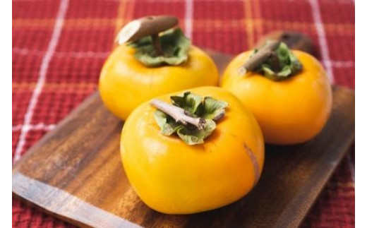 ya̎RxRz݂邵`p˖a`T̓NbvtRt4.5`5kg@24`302026N10{`11{돇yART13z