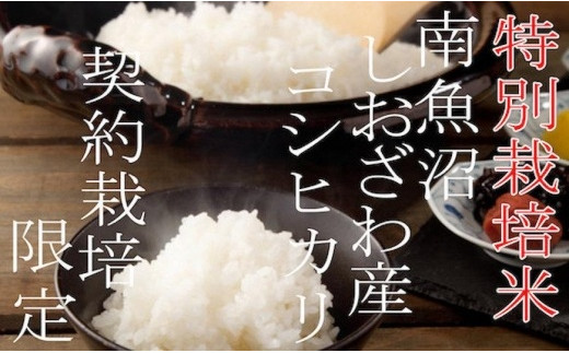 yV싛szyߘa7NYzyzQKg×6zʍ͔| YҌ  싛YRVqJy2025N10{菇\z