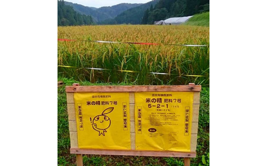 サンプル写真