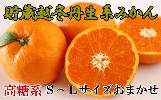 ya̎RLc쒬zmnnz~On݂5kgiS`LTCY܂j2026N2{菇