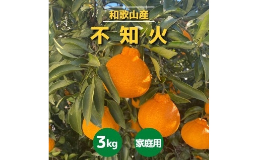 ya̎R쒬za̎RY sm 3kg mƒpnmUS64n