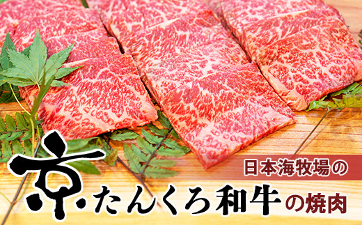 サンプル写真