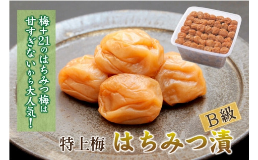 ya̎RxczIB썂~ p ݂͂~ 1.5kg×1 mKn7n