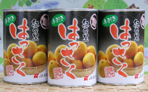 ya̎RߒqYza̎RY蔍ʋl450g×8ʓ聚2024N5`yTM14z