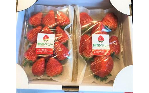 【数量限定！】「完熟 朝摘み」原宿ベリー 約270g×2パック | いちご イチゴ 栃木