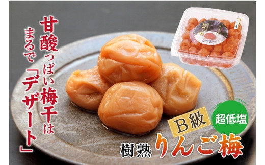 ya̎RxczIB썂~ p 񂲔~ 1.5kg×1 mKn10n