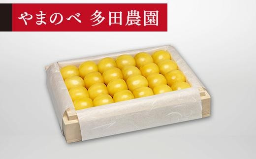 yR`Rzs\񁄁yIRсz˔l 300gy܂̂בckŶ c_z