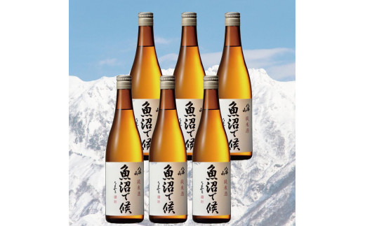 yV싛szŌ(720ml×6{)