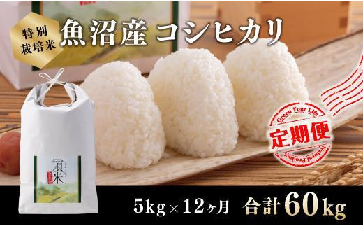 12カ月定期便【特別栽培米】頂米金兵衛 魚沼産コシヒカリ（精米）2kg
