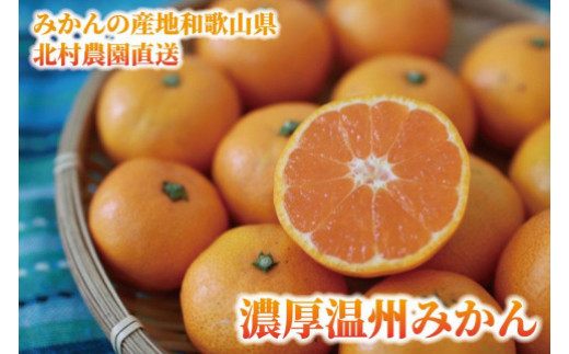 ya̎R쒬zs\y2025N11{蔭zZB݂񑡓p10kgia̎RVc݂j݂̎Yna̎R@k_