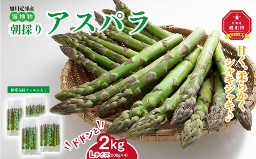 先行予約】朝採りアスパラ Lサイズ 2kg（500g×4）鮮度保持パック入り