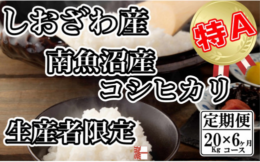 yV싛szyߘa7NYzyցF20Kg×6zYҌ _͔| 싛YRVqJy2025N10{菇\z