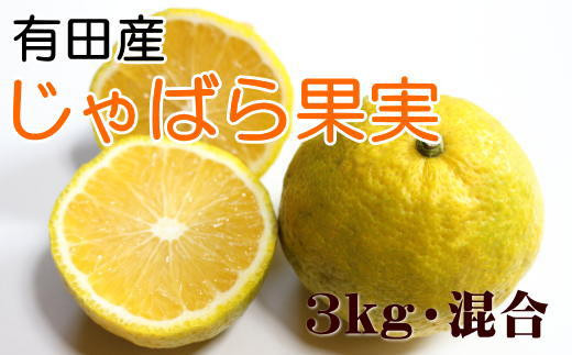 ya̎RLc쒬zmInLcŶ΂ʎ3kg