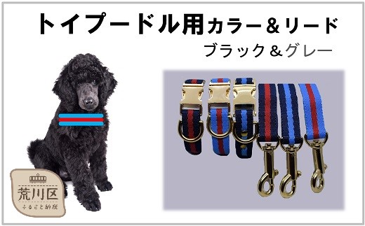 トイプードル及び小型犬用カラー（首輪）＆リード(カラー：水色・赤