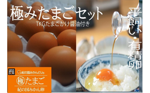 ya̎R쒬zI݂̍ɂ݂܂TKGZbg