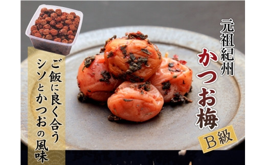 ya̎RxczIB썂~ p IB~ 1.5kg×1 mKn8n