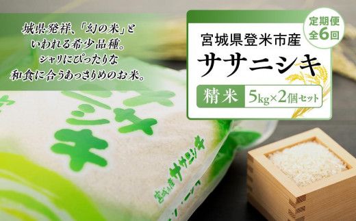 令和5年産【定期便／全6回】宮城県登米市産ササニシキ精米　５kg×２個セット