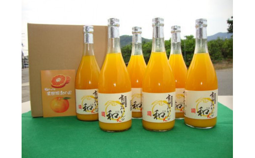 【和歌山県印南町】有田みかんの和α 720ml×6本入
