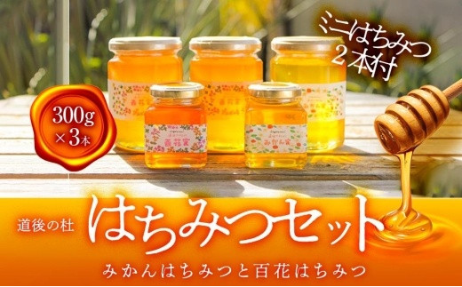 【愛媛県松山市】道後の杜 はちみつセット(300g×3本)ミニはちみつ付き