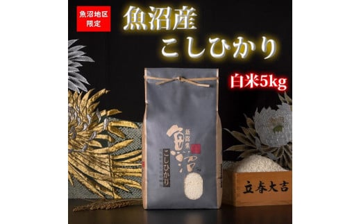 yVzyߘa7NY VāzYRVqJy5kgzyߘa7N11{ȍ~zy  Ђ 싛    V āz