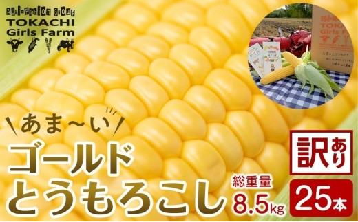 先行予約 訳あり サイズ不揃い25本 8.5kg 直送 朝採りつぶつぶ「あま