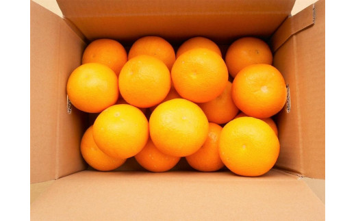 ya̎RߒqYza̎RRǒY͂ 5kg Gi TCY܂ (k܂͂Qkꂩ͂) mSL3n