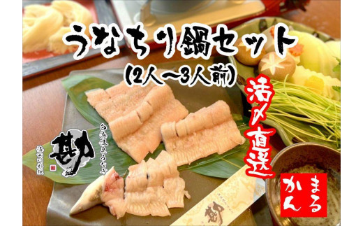うなちり鍋セット(2～3人前) - 和歌山県白浜町｜ふるさとチョイス