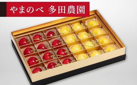 yR`Rzs\񁄁yʂ̌RсEgGz݂є 24y܂̂בckŶ c_z