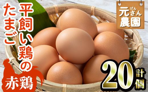 元さん農園 平飼い赤鶏のたまご (計20個・10個×2P) 元さん農園 卵 玉子