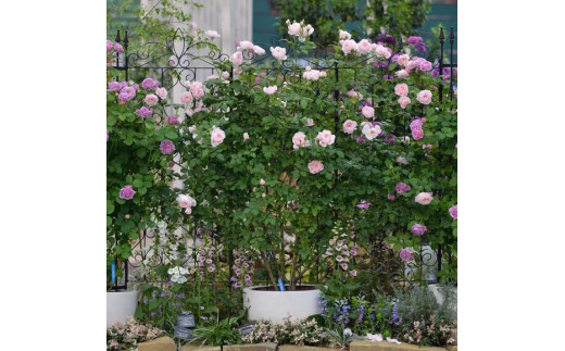 ふるさと納税 海南市 デザイントレリス スリム 1800 4枚組　32450700 デザイントレリス スリム 1800 4枚組 32450700 | 和歌山県海南市