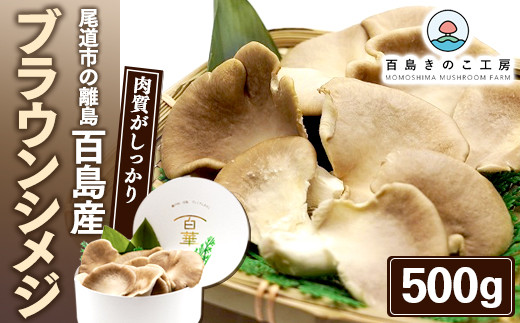 sd1_07b11d99510ac4118f8d8cfc8a