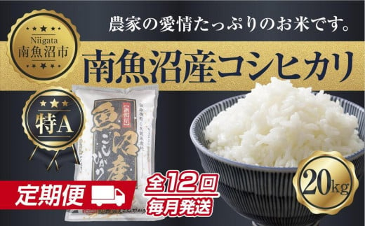 定期便】 新潟県 南魚沼産 コシヒカリ お米 20kg×計12回 精米済み 年間 毎月発送 こしひかり（お米の美味しい炊き方ガイド付き） - 新潟県南魚沼市｜ふるさとチョイス  - ふるさと納税サイト