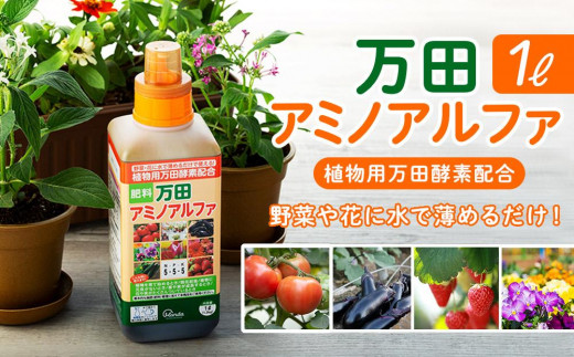 sd1_1031b7c436f8d6ad14d93c9d5f