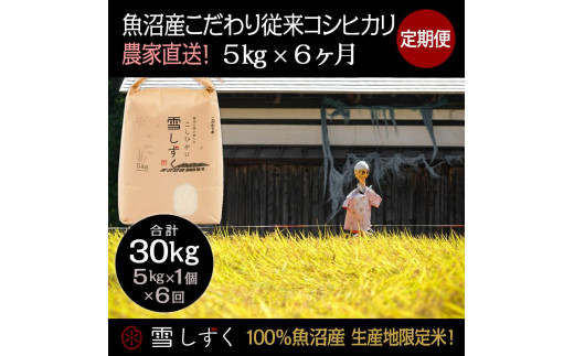 ベンチ 収納付 ふるさと納税 十日町市 2023年6月発送開始『定期便