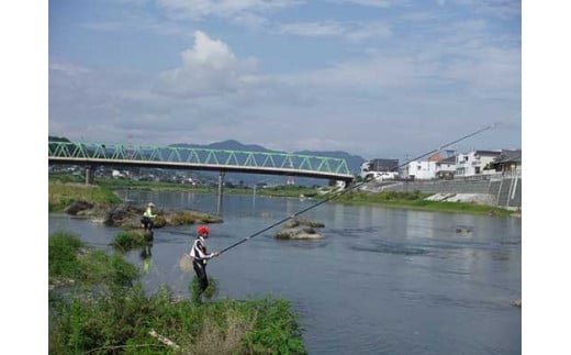 鮎遊漁承認証（年券） - 和歌山県九度山町｜ふるさとチョイス - ふるさと納税サイト