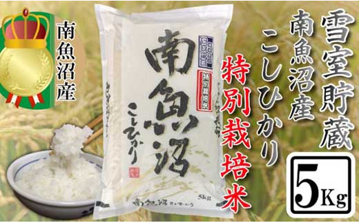 特別栽培 雪室貯蔵・塩沢産コシヒカリ5Kg - 新潟県南魚沼市｜ふるさと