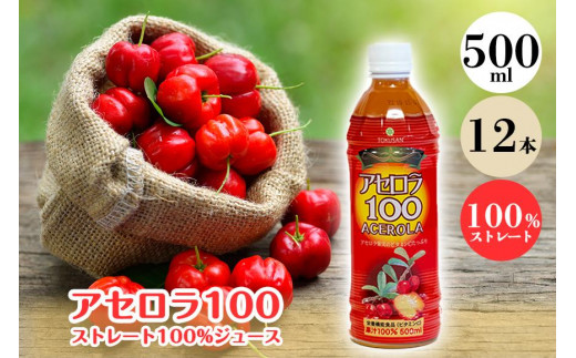 アセロラ100　ストレート100％ジュース 500ml×12本