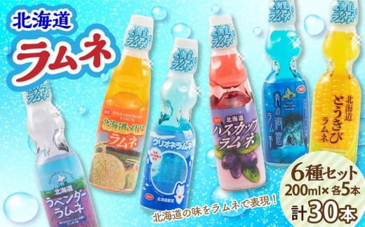 北海道 ラムネ 6種セット 各200ml×5本ずつ (北海道メロン、ハスカップ、ラベンダー、青の洞窟、クリオネ、とうきび)