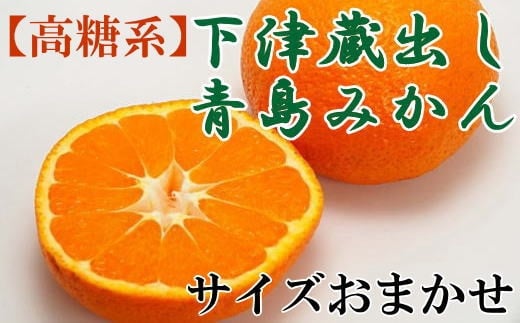 高糖系】下津蔵出し青島みかん約5kg（S～2Lサイズおまかせ）☆2023年2