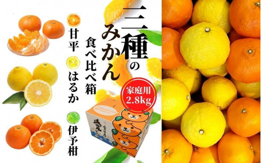 【三種のみかん食べ比べ箱】甘平・はるか・宮内伊予柑 （家庭用）約2.8kg　＜2024年2月頃発送＞ 食べくらべ 愛媛 みかん 詰め合わせ セット  先行予約 蜜柑 柑橘 果物 くだもの フルーツ お取り寄せ グルメ 期間限定 数量限定 人気 おすすめ 愛媛県 松山市