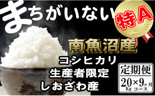 定期便】生産者限定 契約栽培 南魚沼しおざわ産コシヒカリ（20Kg×9ヶ月） - 新潟県南魚沼市｜ふるさとチョイス - ふるさと納税サイト