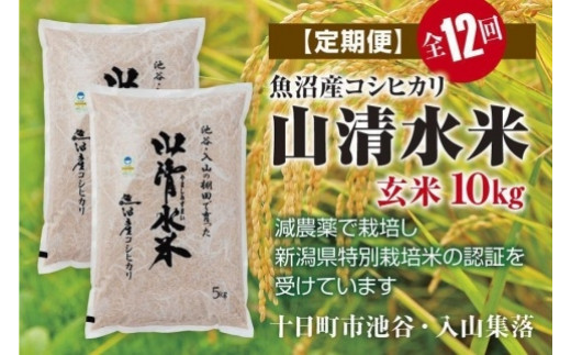 残りわずかです】令和4年度 新潟県 魚沼産コシヒカリ 10キロ玄米 | mdh