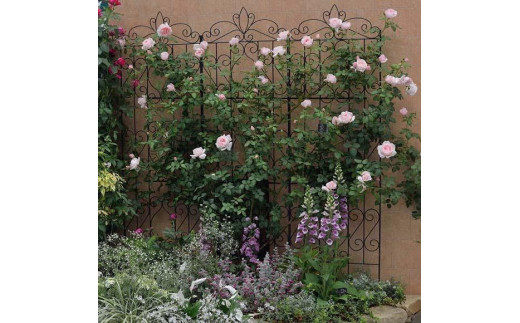 ふるさと納税 海南市 デザイントレリス スリム 1800 4枚組　32450700 デザイントレリス スリム 1800 4枚組 32450700 | 和歌山県海南市