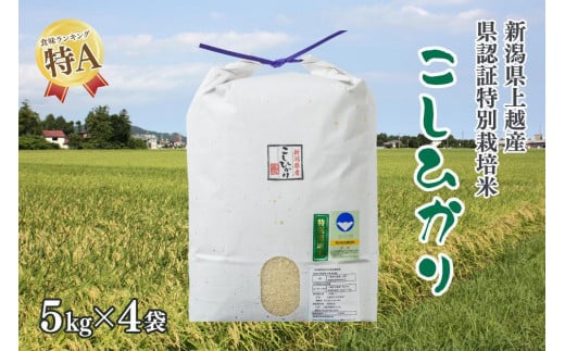 令和4年産／新潟県上越産 人気のお米「新潟県認証特別栽培米コシヒカリ