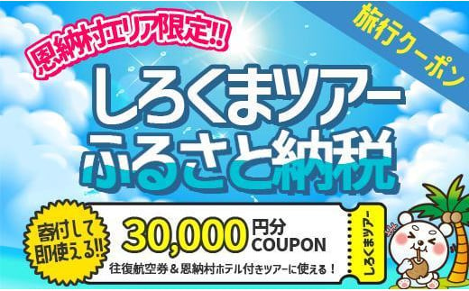 【恩納村】しろくまツアーで利用可能なWEB旅行クーポン（30,000円分） - 沖縄県恩納村｜ふるさとチョイス - ふるさと納税サイト