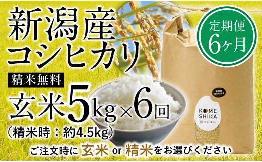 令和5年産米】【定期便6ヵ月】新潟産コシヒカリ 玄米5kg×6回（精米可