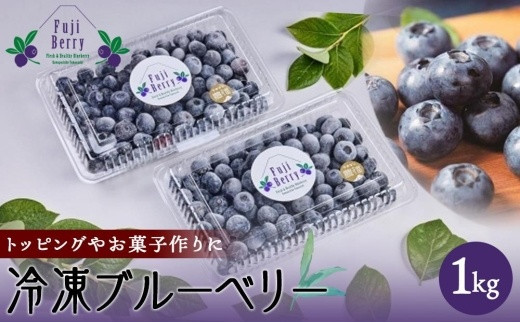 Fuji Berry 急速冷凍ブルーベリー1kg - 山梨県富士河口湖町｜ふるさとチョイス - ふるさと納税サイト