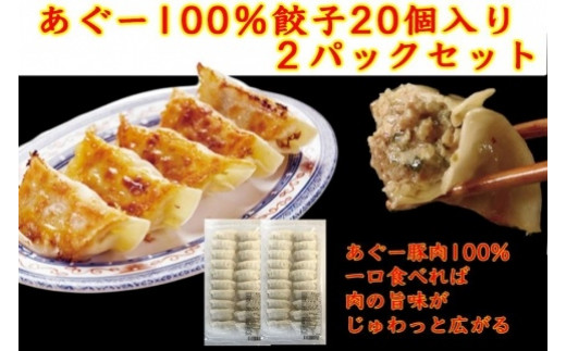 沖縄そばセット&あぐー100%餃子(2パックセット) - 沖縄県糸満 沖縄そばセット&あぐー100%餃子(2パックセット) - 沖縄県糸満